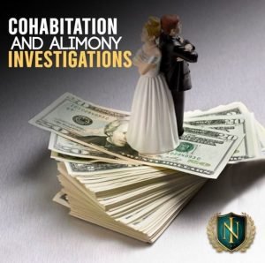 Cohabitation & Alimony Investigations